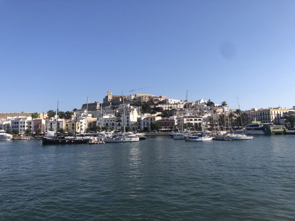 IMG_2648-1024x768.jpeg
