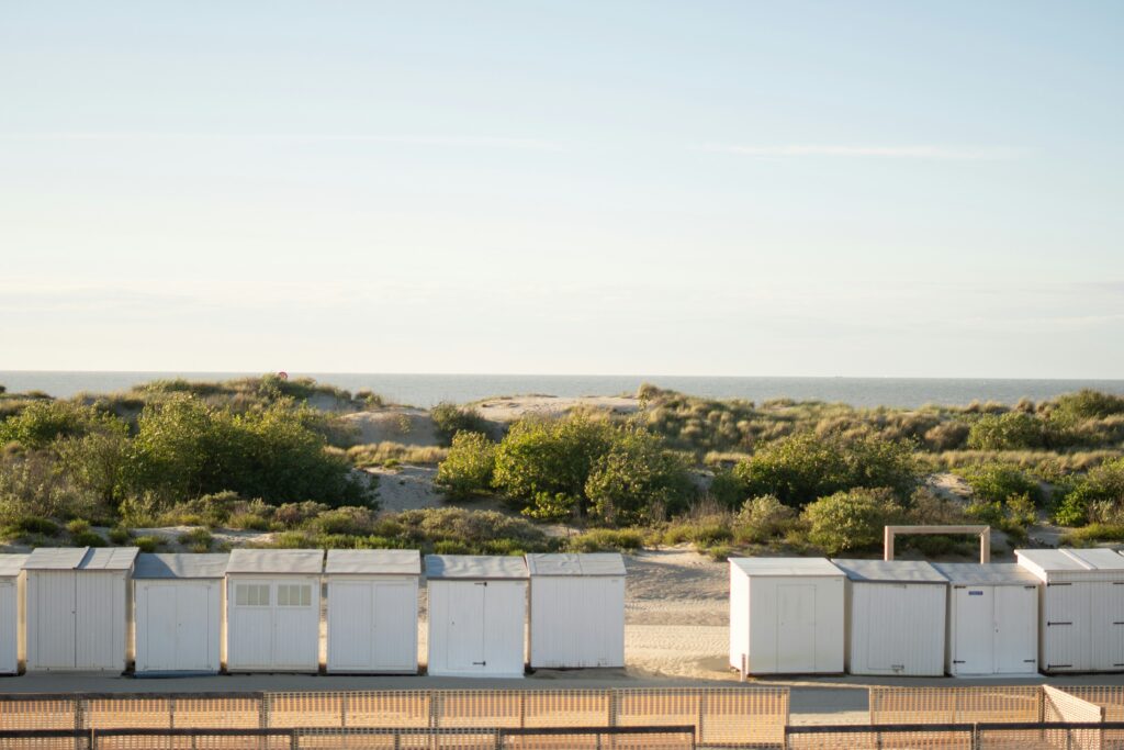 ben-klewais-Vk9wsXhfdk4-unsplash-1024x683.jpg